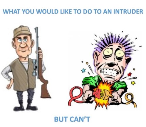 What customers often tell us they would like to do to Intruders