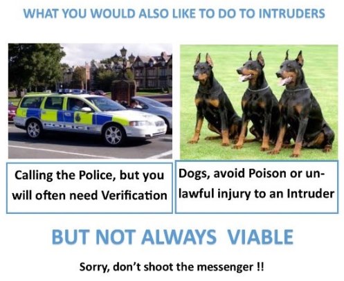 what customers would also like to do to Intruders