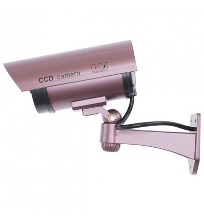 Internal & External Decoy (dummy) CCTV Camera (DC2)