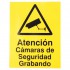 CCTV Warning Window Window Sticker (Spanish language)
