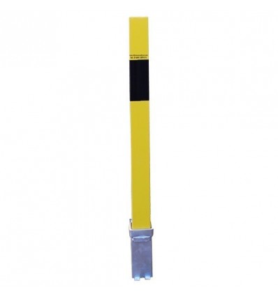 100P Removable Security Post & Locking Tool.