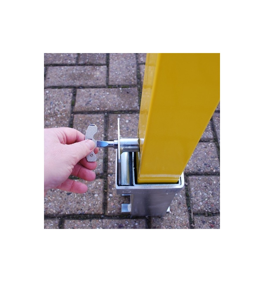 Removable Security Post Integral Lock & Locking Tool 100P