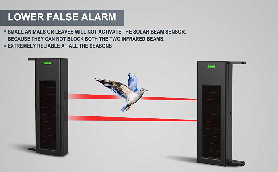 Dual Detection Beams