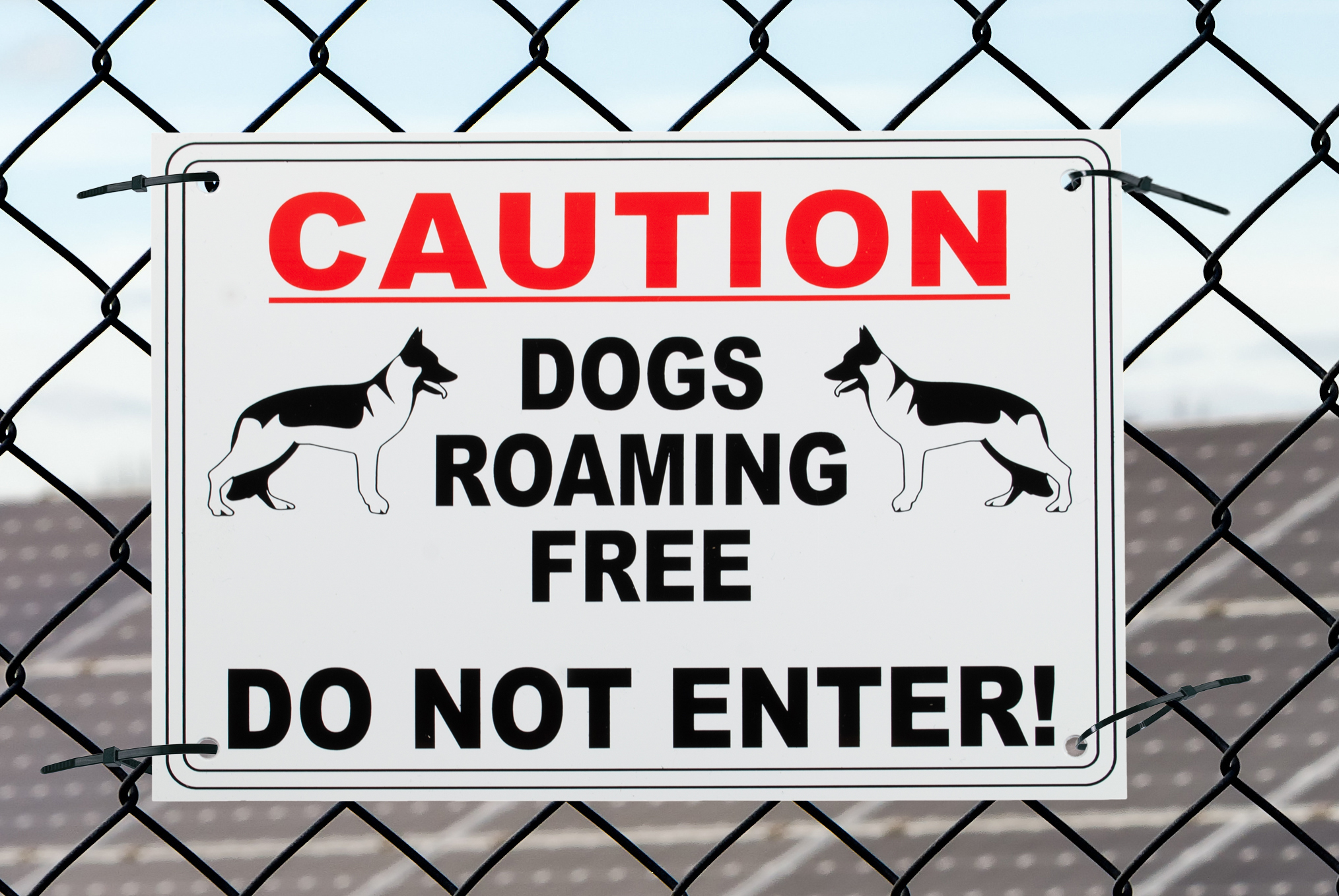 Dog Warning Sign 2